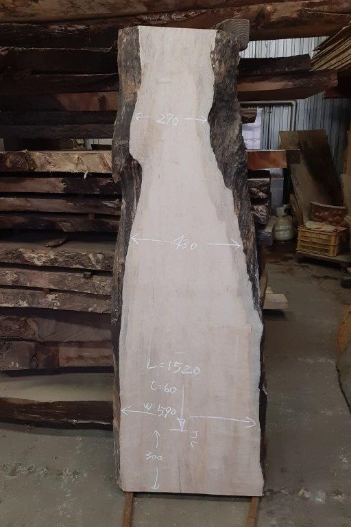 天然木 新潟工場 楓材 一枚板 DIYテーブル用天板 セール