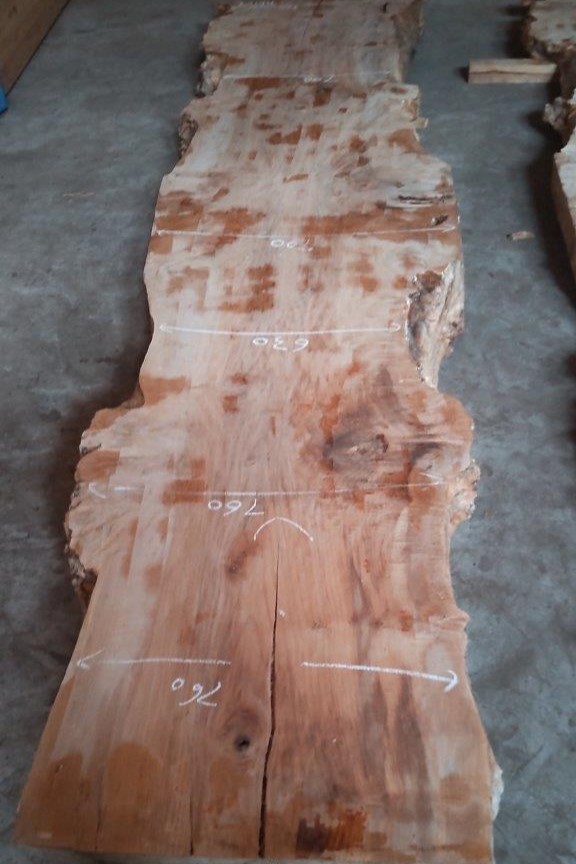 天然木 新潟工場 楓（かえで）材 一枚板 カウンター、テーブル用天板