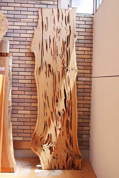 天然木 祭り屋 海老名店 蓮根杉(れんこんすぎ)一枚板の飾り板 テーブル 
